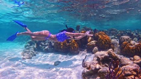 a girl snorkelling through a coral reef past fish in caye caulker, belize