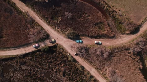 vista aérea de arriba hacia abajo: cuatro coches vintage 2cv conduciendo por los caminos de camargue