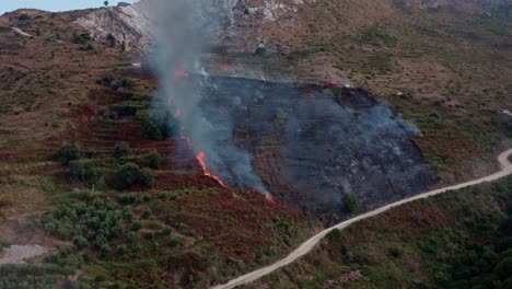montaña en llamas, bosque en llamas