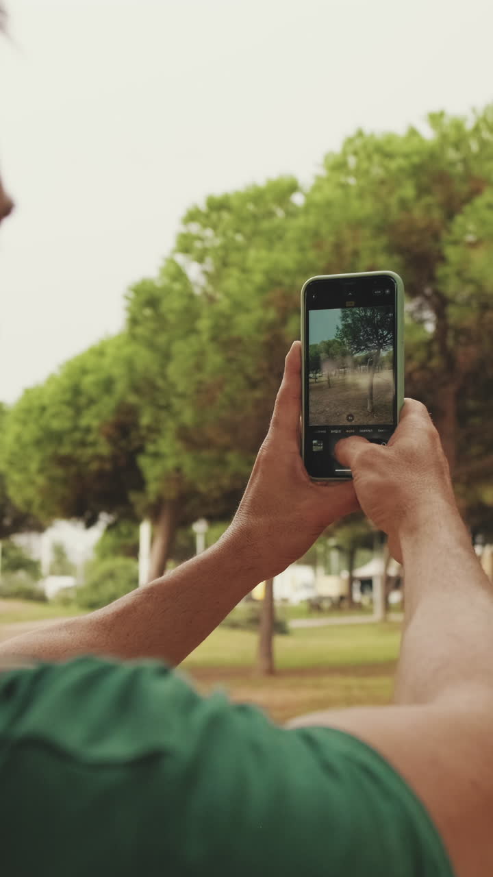 Tirar uma foto de uma árvore em um parque
