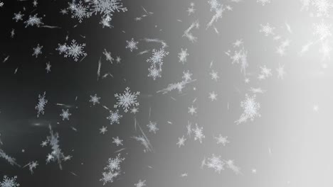 Snow-falling-on-grey-background