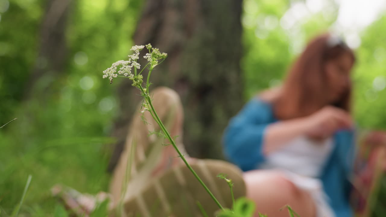 Close up of delicate white wildflower in focus with blurred background showing woman sitting on grass under tree, peaceful natural setting filled with green foliage