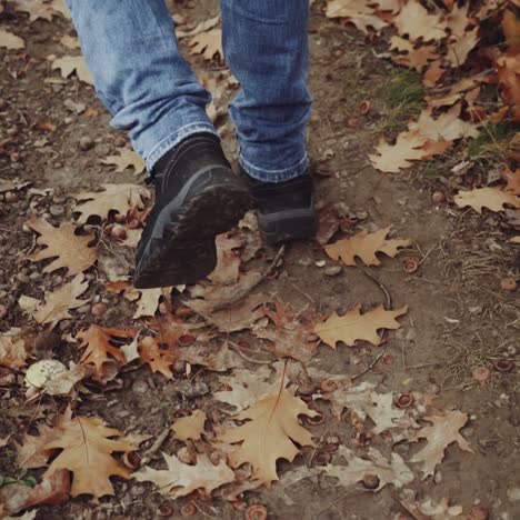 male tourist in the forest