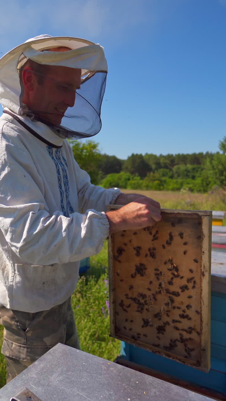 Organic farm with beehives. Male beekeeper in a protective hat inspects bees in an apiary during summer season. Bee-garden with wooden hives. Vertical video