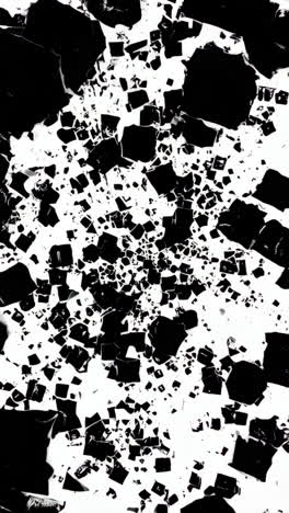 abstract black and white shattered shapes pattern