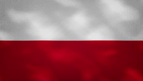polish dense flag fabric wavers, background loop