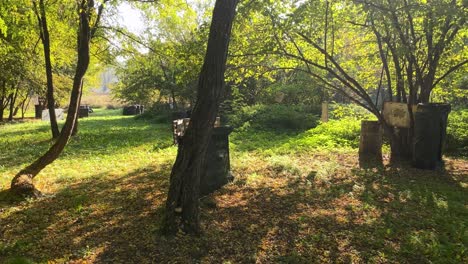 campo de paintball vacío en madera, bola de madera, nadie de mano