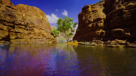 beautiful waterhole surrounded by rocky cliffs and lush greenery in daylight