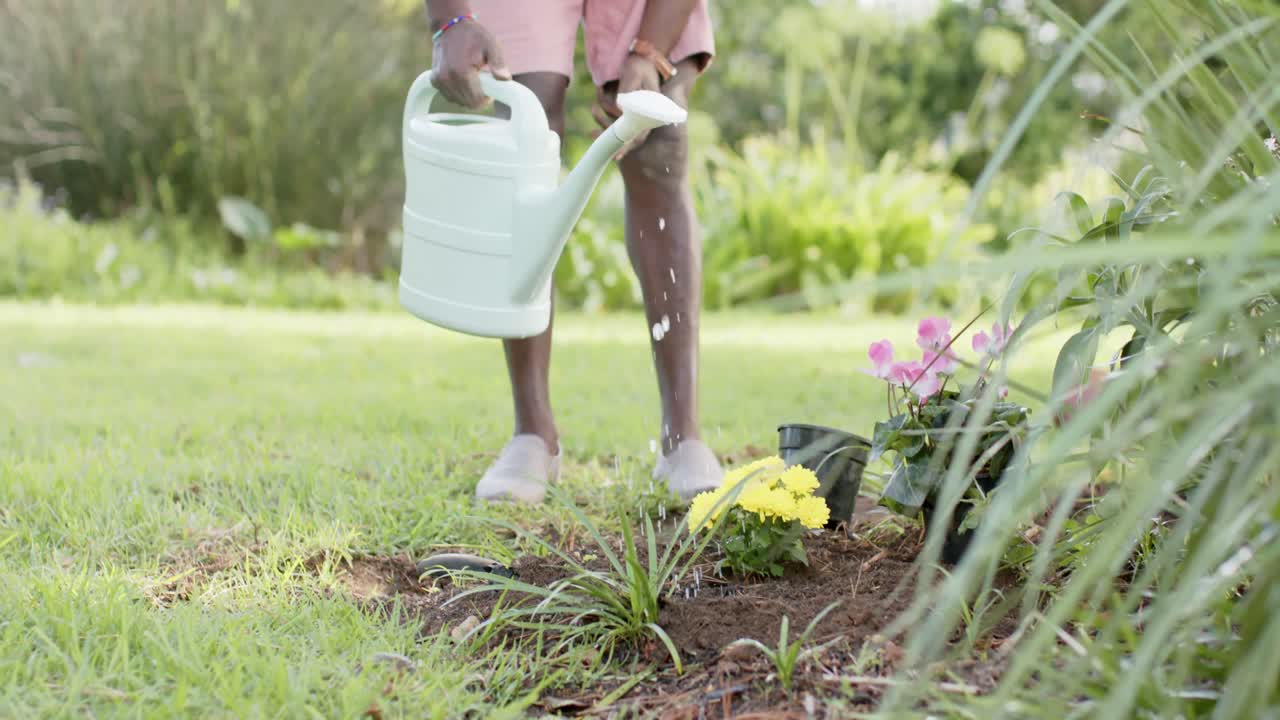 sección baja de afroamericano hombre mayor jardinería en jardín soleado, cámara lenta