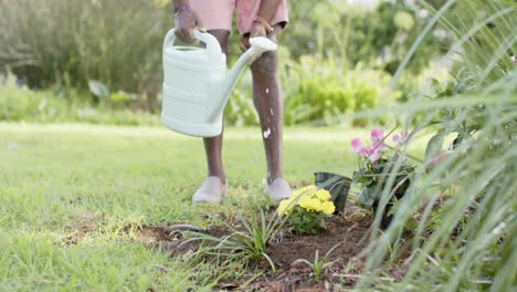 Low-section-of-african-american-senior-man-gardening-in-sunny-garden,-slow-motion