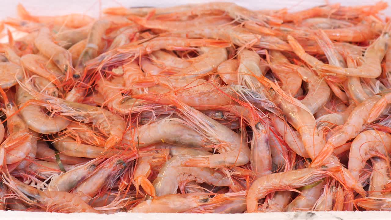 시장에서 신선한 새우