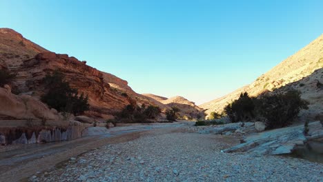 a river in the middle of the sahara desert algeria biskra