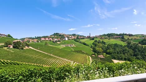 lush vineyards under a clear blue sky