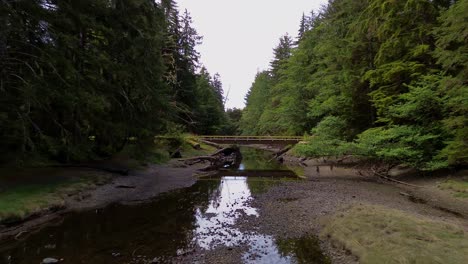 Bach-Zwischen-Einem-Malerischen-Naturwald-Mit-Einer-Ausziehbaren-Drohnenaufnahme