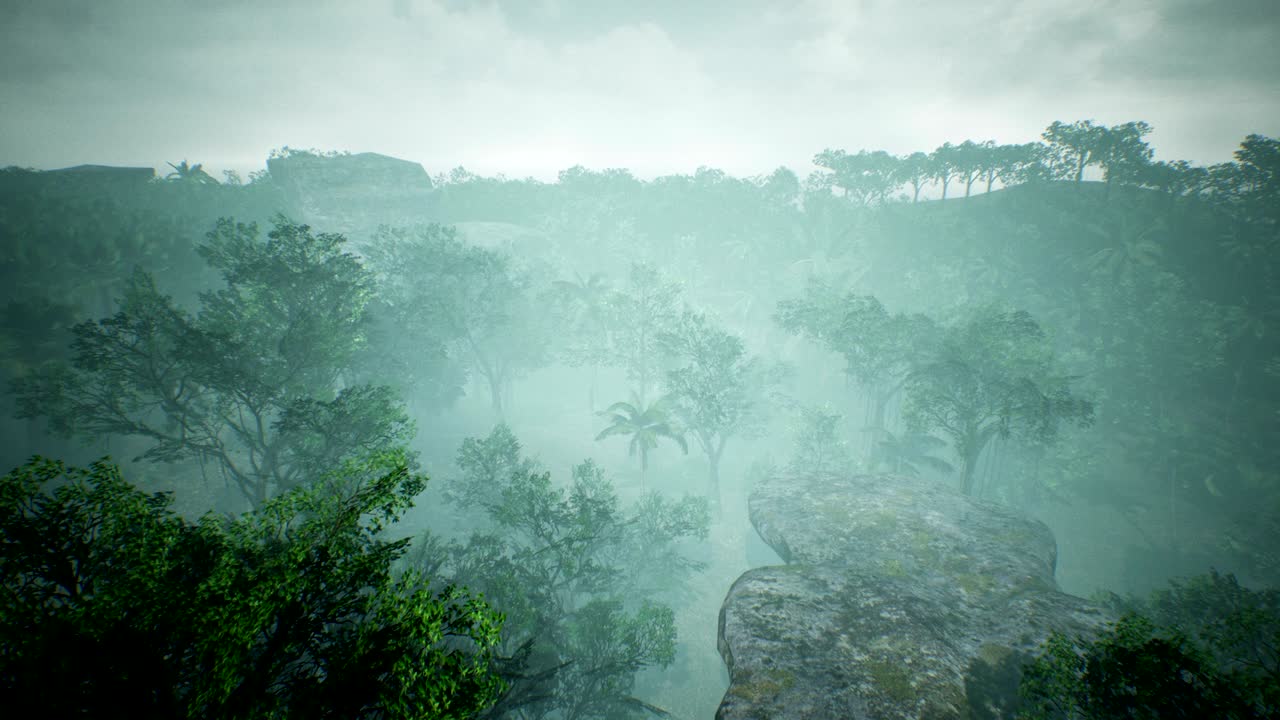 아름다운 푸른 정글 위의 타임 스 뷰 4k