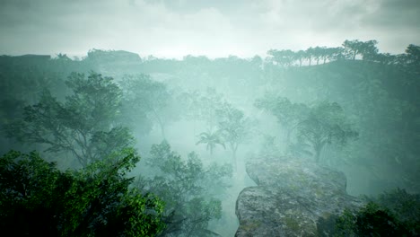 timelapse view over a beautiful lush green jungle. 4k