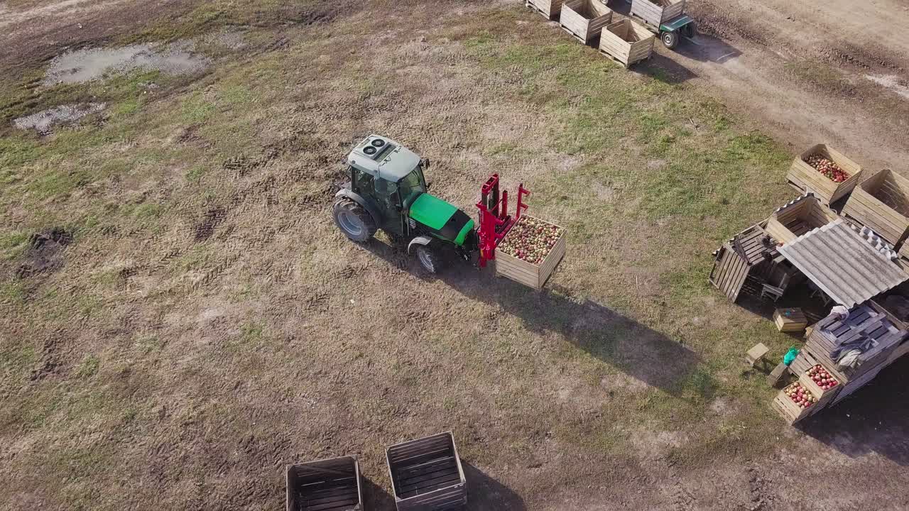 Harvesting apple fruit in orchard. Aerial view of farmers on tractor driving on apple orchard and picking apples