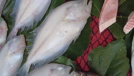 pescado fresco en un mercado