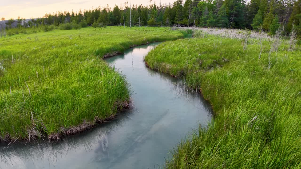 Aerial drone view of a winding stream curving through lush green grasslands surrounded by dense forest