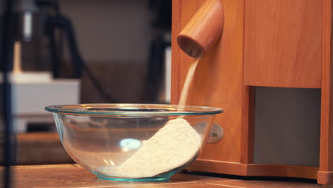 grinding organic kamut whole grain wheat into flour - flour flowing out of the grinder into a glass bowl