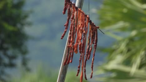바람에 건조한 고기 - 음식