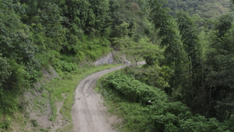 a path in the middle of a forest surrounded by small houses in nagaland india