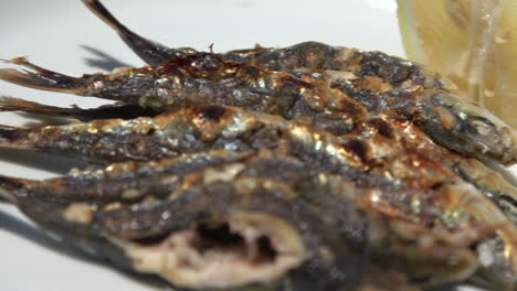 brocheta de pescado de sardinas al fuego a la parrilla con leña ardiendo