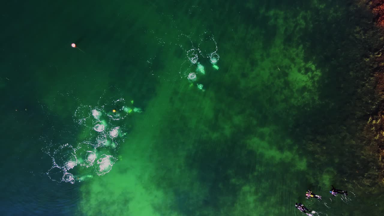 Subacquei che nuotano nel mare calmo di Lysekil a Bohuslan, Svezia.