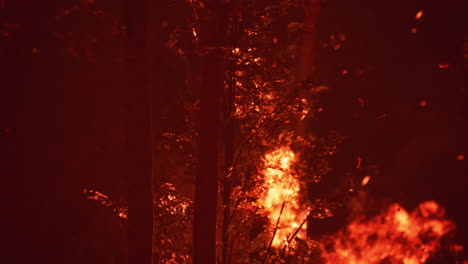 grandes llamas de incendio forestal