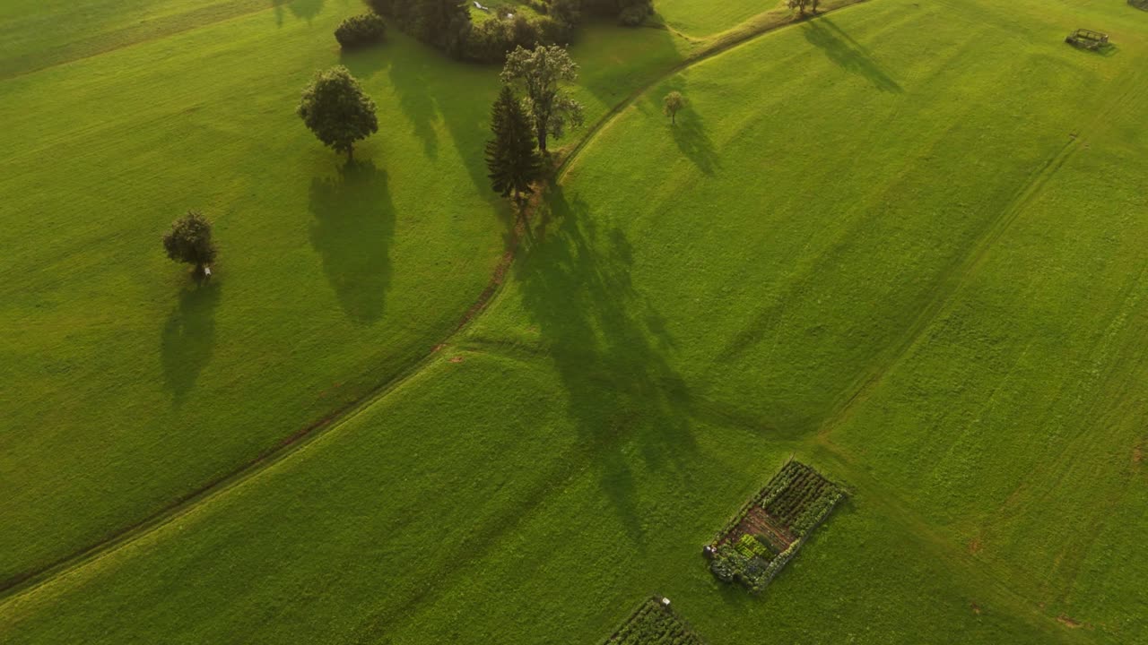 Vivid green prairie in the mountains representing a peaceful and sustainable natural landscape