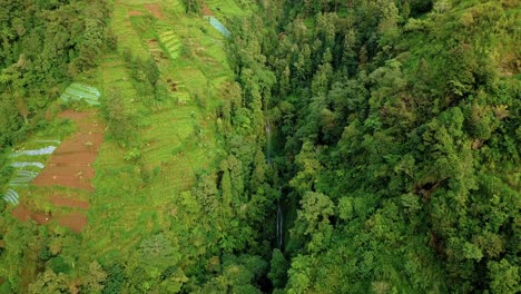 imágenes de drones del valle en la ladera de una montaña tropical cubierta de árboles y plantaciones con cascada oculta - ladera de la montaña sumbing, indonesia