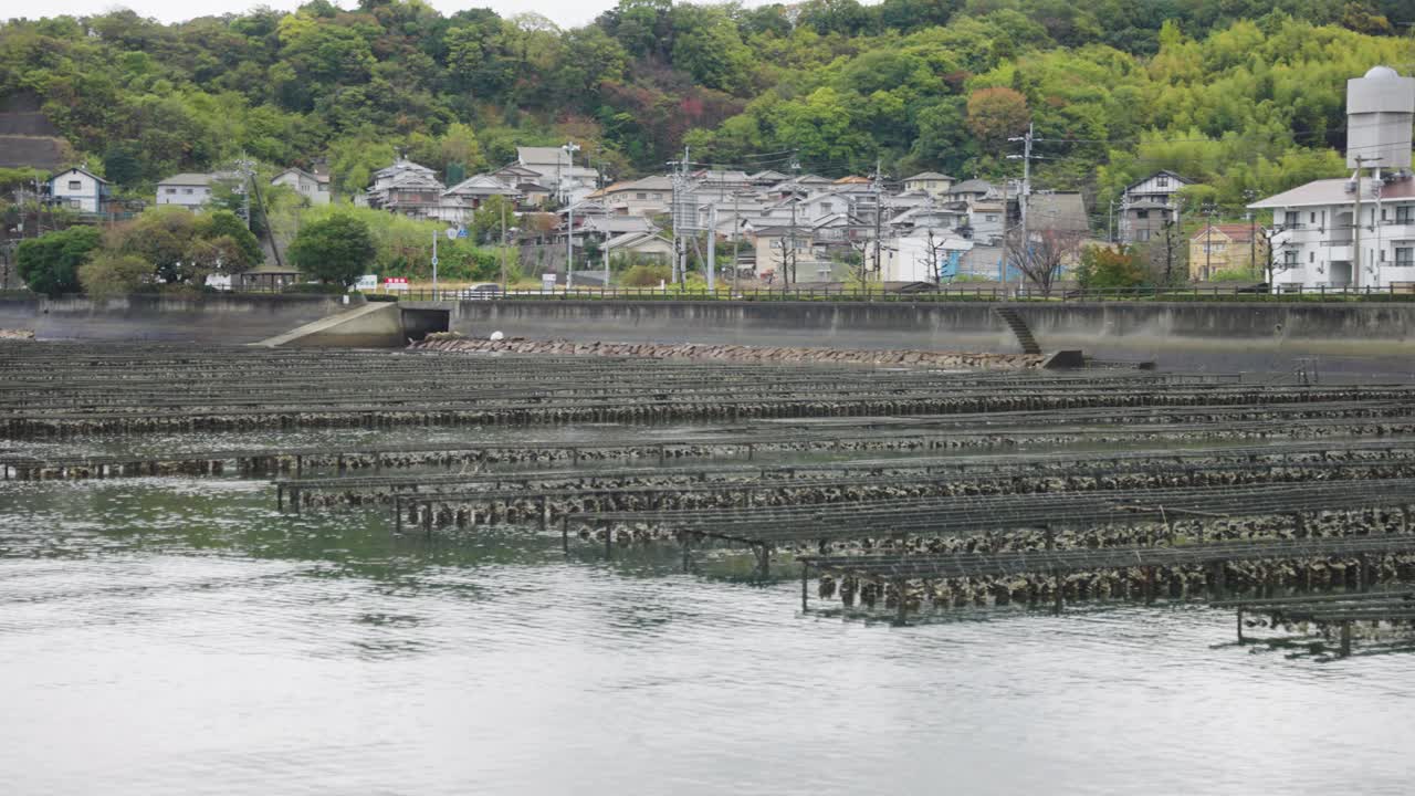 Japanese Rural Coastline, Oyster Farms on Etajima Island, Hiroshima Prefecture