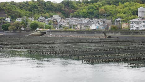 japanese rural coastline, oyster farms on etajima island, hiroshima prefecture