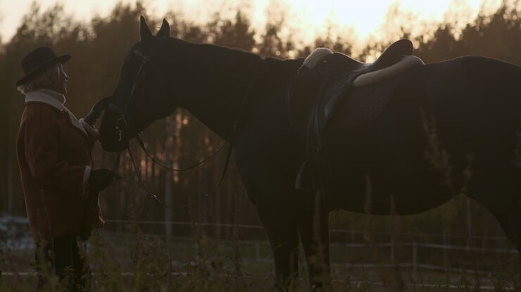 Woman and horse outdoors