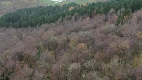 Aerial-View-of-Deciduous-and-Coniferous-Forest-in-Landscape-of-Hjelmeland-Norway-on-Autumn-Day