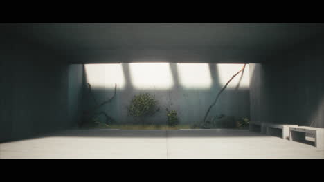 modern concrete interior with plants