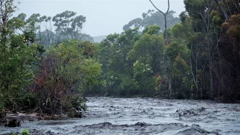 Fluss-In-Vollem-Fluss-Mit-Bäumen-Und-Sträuchern-Am-Ufer