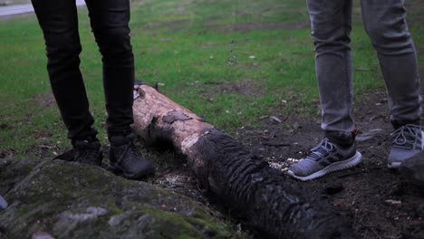 Cutting-wood-with-a-saw-for-campfire-in-Transfagarasan,-Romania