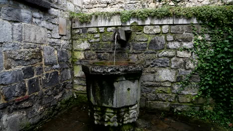 old water sources where the main source of drinking water in the midieval times, therefore they are often found in castles