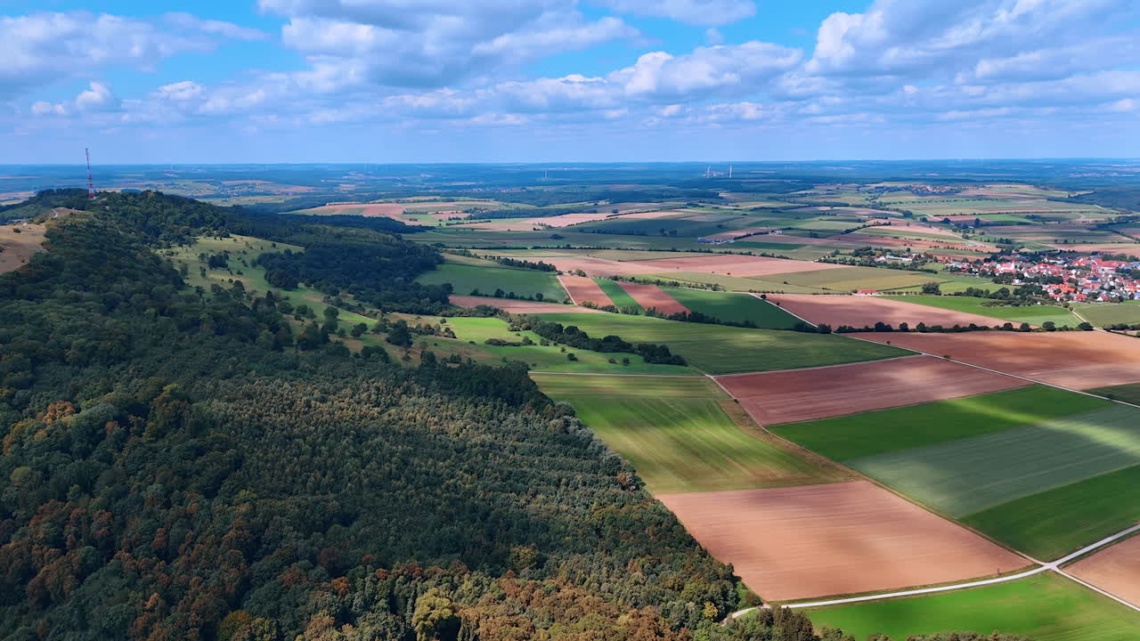 Aerial top view of dense green forest in summer. Drone shot from above showing thick green forest canopy with sunlight and shadows