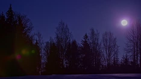 Fantastische-Zeitrafferaufnahme-Des-Vollmonds,-Der-Sich-Am-Nachthimmel-Hinter-Den-Silhouetten-Der-Bäume-Im-Wald-Bewegt