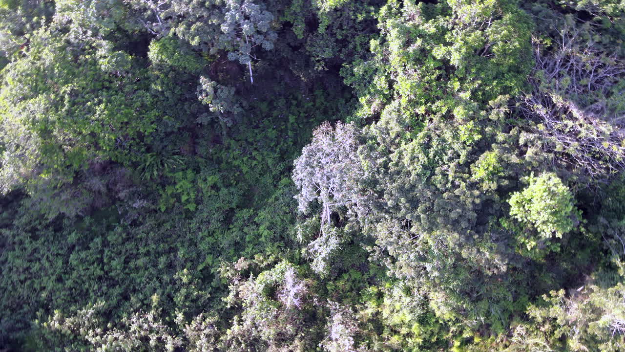 maravillosos paisajes de colombia 3