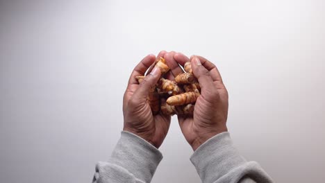 hands holding turmeric