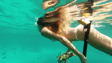 woman swimming in the ocean