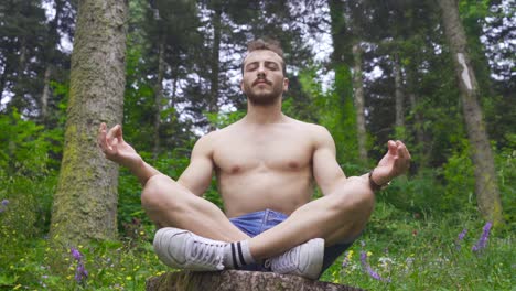 meditating in nature.