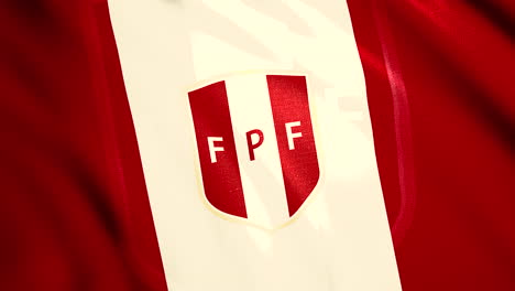 camiseta de la federación peruana de fútbol (fpf)