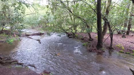 Stream-flowing--in-the-Tennessee-Smoky-Mountains