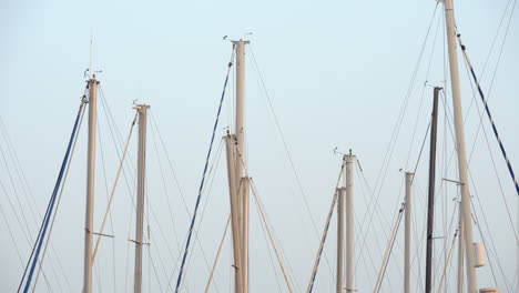 yacht masts against clear blue sky