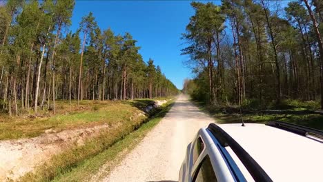 Coche-Blanco-Conduciendo-Campo-A-Través-En-El-Bosque