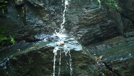 streams crashing through mossy rocks from the valley in forest